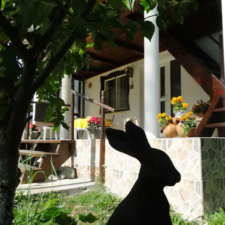 Marinarul Guest house